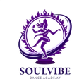 Soulvibe Dance Academy